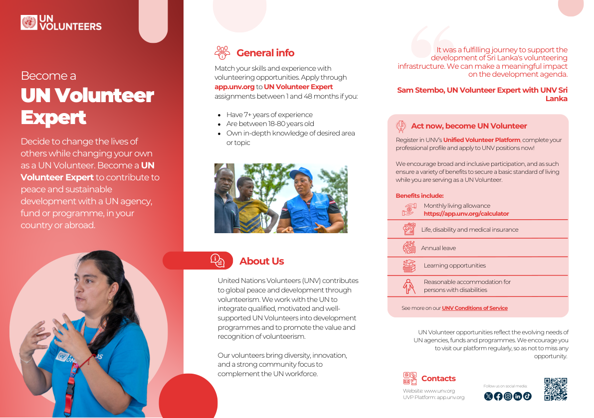 UN Volunteer Expert flyer