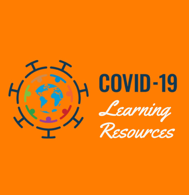 United Nations Volunteers ECAMPUS