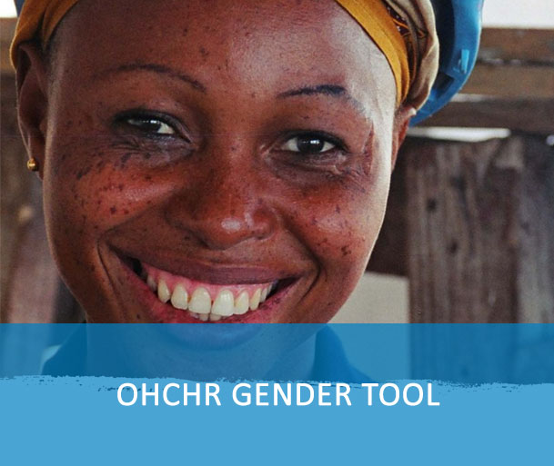 This online course has been designed to provide a basic understanding of gender equality and how to integrate a gender perspective into human rights work.