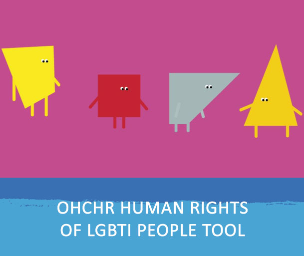 The OHCHR electronic course on the human rights of lesbian, gay, bisexual, transgender and intersex (LGBTI) people is an introductory course designed for UN staff, State officials, civil society organizations, national human rights institutions and other stakeholders. It will equip learners with information on key terms and concepts related to LGBTI people, harmful myths and stereotypes, human rights violations faced by LGBTI people, the role of the UN and steps that UN officials and others can take to tackle violence and discrimination against LGBTI people.