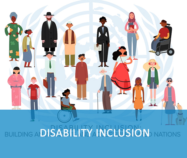 Disability Inclusion: Building an Inclusive and Accessible United Nations. This course has been developed through inter-agency collaboration between UNDP and the UN Secretariat, in close consultation with the UN Disability Inclusion Strategy (UNDIS) Network.