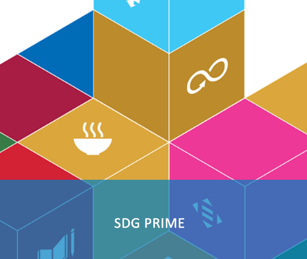 SDG Primer: This e-course aims to establish a common base of understanding and approach for the UN system in supporting the 2030 Agenda. It is primarily meant to inform, in broad terms, the programmes and actions of all UN entities, including their engagement with government and civil society partners.