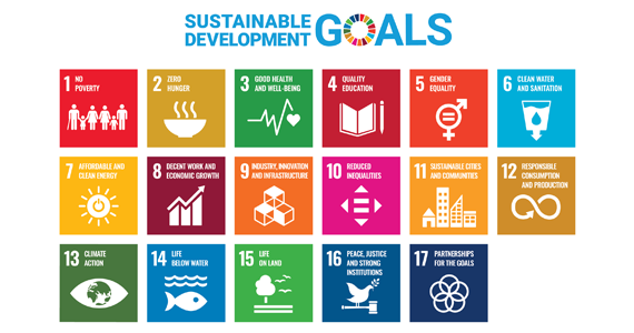 Volunteering for the Sustainable Development Goals