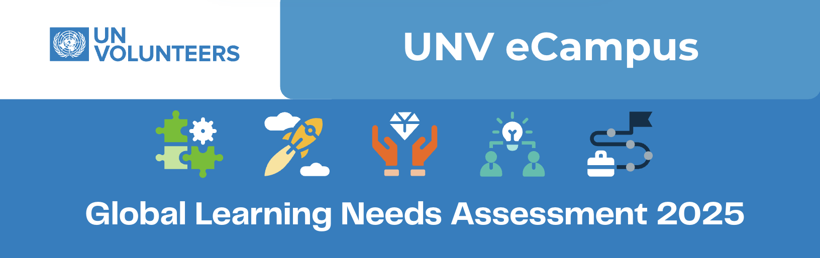 UNV Global Learning Needs Assessment 2025